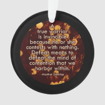 Soort geschil - Aikido Peace Quote