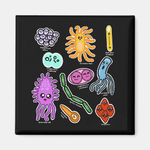 Soorten bacteriën magneet