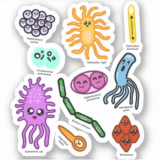 Soorten bacteriën sticker (Voorkant)