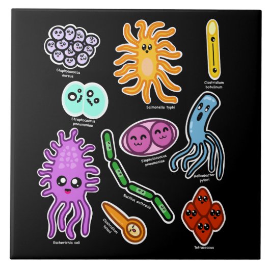 Soorten Bacteriën Tegeltje (Voorkant)