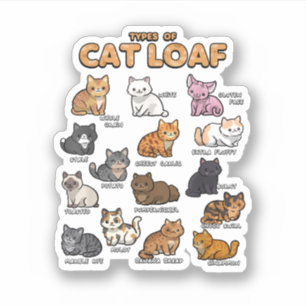 Soorten Cat Loaf Schattige Kitten Kawaii Katten Ka Sticker