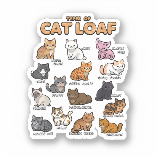 Soorten Cat Loaf Schattige Kitten Kawaii Katten Ka Sticker (Voorkant)