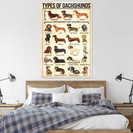Soorten Dachshunds Dog Poster, dachshunds gekend Canvas Afdruk (Insitu (Slaapkamer))