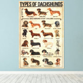 Soorten Dachshunds Dog Poster, dachshunds gekend Canvas Afdruk (Insitu (Houten vloer))