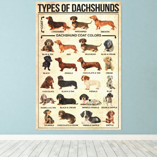 Soorten Dachshunds Dog Poster, dachshunds gekend Canvas Afdruk (Insitu (Houten vloer))