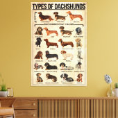 Soorten Dachshunds Dog Poster, dachshunds gekend Canvas Afdruk (Insitu (Woonkamer))
