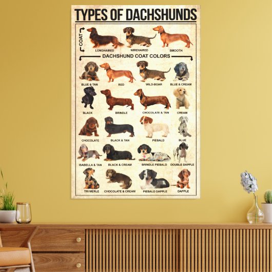 Soorten Dachshunds Dog Poster, dachshunds gekend Canvas Afdruk (Insitu (Woonkamer))
