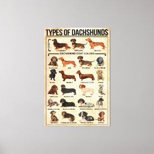 Soorten Dachshunds Dog Poster, dachshunds gekend Canvas Afdruk