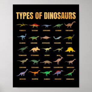 Soorten dinosaurussen - Dino-identificatie - Rex D Poster