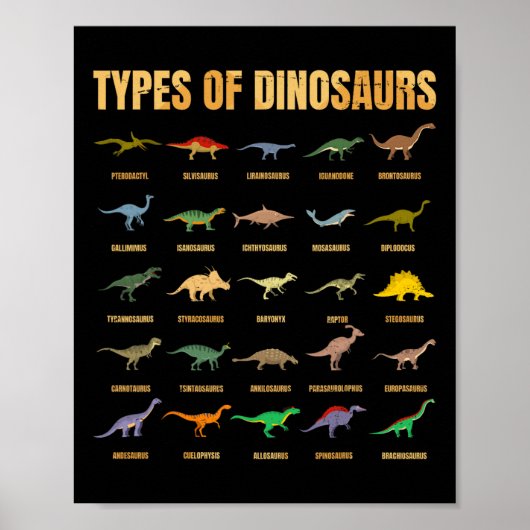 Soorten dinosaurussen - Dino-identificatie - Rex D Poster (Voorkant)