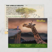 Soorten Giraffe zijn nu bedreigd - Feestdagenkaart (Voorkant / Achterkant)