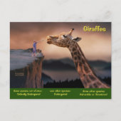 Soorten Giraffe zijn nu bedreigd - Feestdagenkaart (Voorkant)