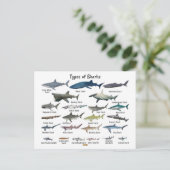Soorten haaien grafiek feestdagenkaart (Staand voorkant)