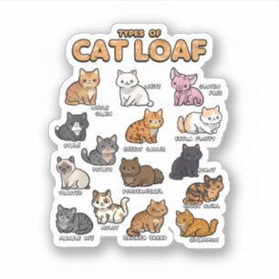 Soorten Kat Broodje Schattige Kitten Kawaii Katten Sticker