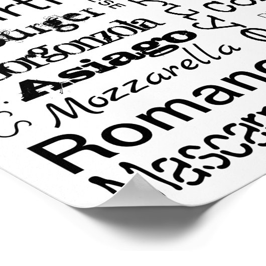 Soorten kazen poster (Hoek)