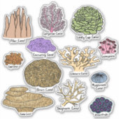 Soorten koraal sticker (Voorkant)