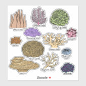 Soorten koraal sticker (Vel)