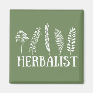 Soorten kruiden kruidkundige magneet