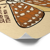 Soorten mot poster (Hoek)