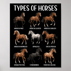 Soorten Paarden Shirt Funny Horse Breed Horseback Poster