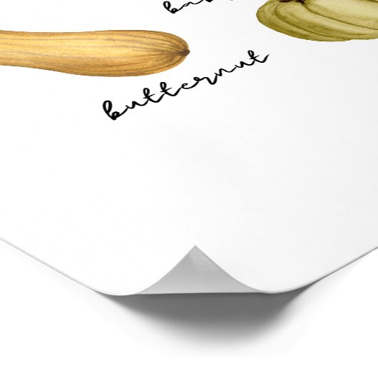 Soorten pompoenen poster (Hoek)