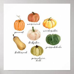 Soorten pompoenen poster