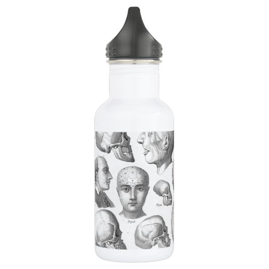 Soorten schedel waterfles  (Links)