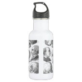 Soorten schedel waterfles (Achterkant)