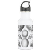 Soorten schedel waterfles  (Voorkant)