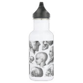 Soorten schedel waterfles (Rechts)