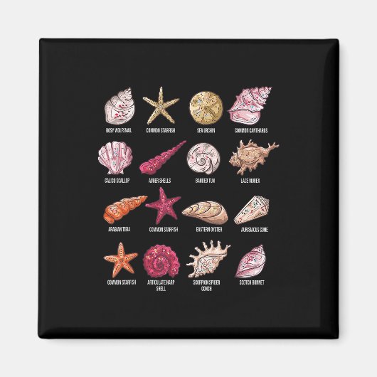 Soorten Seashells Beach Shelling Conch Zee Shell Magneet (Voorkant)