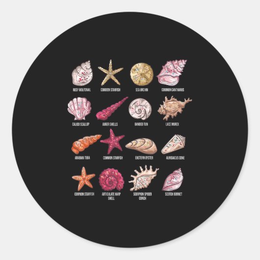 Soorten Seashells Beach Shelling Conch Zee Shell Ronde Sticker (Voorkant)