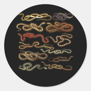 Soorten slangen Herpetoloog Educatieve reptielen Ronde Sticker