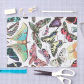 Soorten van de ontvlechting van de motordijn van B Tissuepapier (Craft)