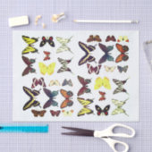 Soorten Vlinders Collectie Kleurrijk Tissuepapier (Craft)