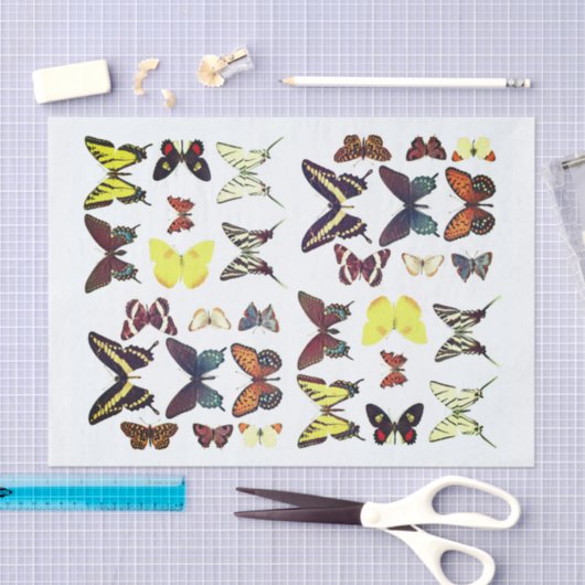 Soorten Vlinders Collectie Kleurrijk Tissuepapier (Craft)