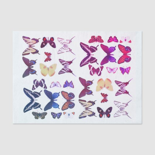 Soorten Vlinders Collectie Pink Blue Tissuepapier (Voorkant)
