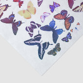 Soorten Vlinders Collectie Pink Blue Tissuepapier (Detail)