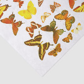 Soorten Vlinders Collectie Rood Geel Tissuepapier (Detail)