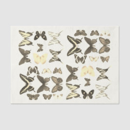 Soorten Vlinders Collectie Sepia Beige Tissuepapier