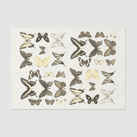Soorten Vlinders Collectie Sepia Beige Tissuepapier (Voorkant)