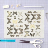 Soorten Vlinders Collectie Sepia Beige Tissuepapier (Craft)
