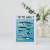 Soorten walvissen en zoogdiervariëteiten briefkaart (Staand voorkant)