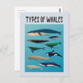 Soorten walvissen en zoogdiervariëteiten briefkaart (Voorkant / Achterkant)