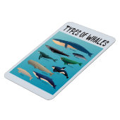 Soorten walvissen en zoogdiervariëteiten magneet (Linkerzijde)