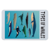 Soorten walvissen en zoogdiervariëteiten magneet (Horizontaal)