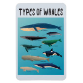 Soorten walvissen en zoogdiervariëteiten magneet (Verticaal)