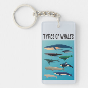 Soorten walvissen en zoogdiervariëteiten sleutelhanger