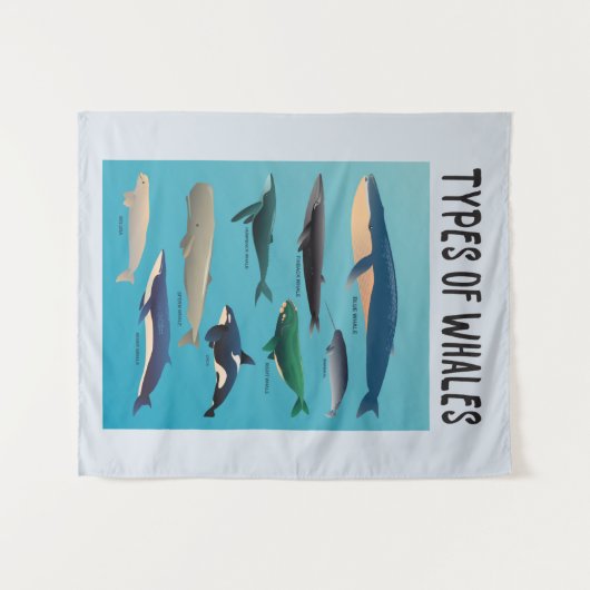 Soorten walvissen en zoogdiervariëteiten wandkleed (Voorkant (horizontaal))