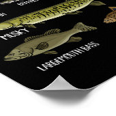 Soorten zoetwatersoorten Vist soorten Poster (Hoek)